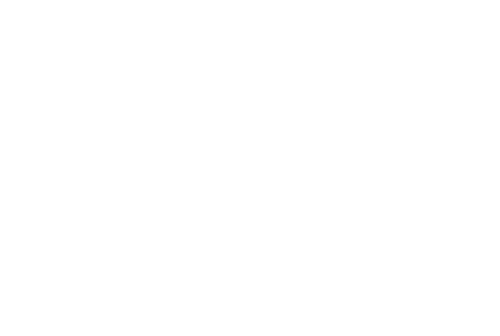 Čarter